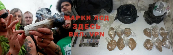 винт Аркадак